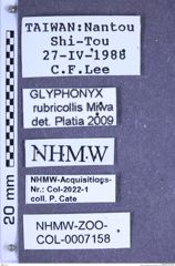 Etiketten zu Glyphonyx rubricollis (Miwa, 1928) (NHMW-ZOO-COL-0007158)